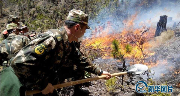 香格里拉一天內發生兩起山林大火5