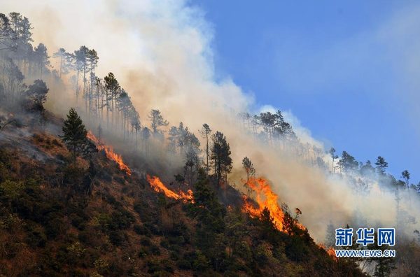 香格里拉一天內發生兩起山林大火2