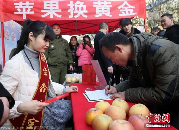 2014年12月23日，河南省鄭州市，在二七路一珠寶廣場，200多位市民排起了數(shù)十米長隊，拿著蘋果等待換黃金。據(jù)介紹，為了迎圣誕節(jié)，凡持一對蘋果到當?shù)匾恢閷毜辏纯擅赓M兌換迷你“招財金”小金條一個。圖為市民在排隊兌換。盧鍵 攝 圖片來源：東方IC 版權(quán)作品 請勿轉(zhuǎn)載