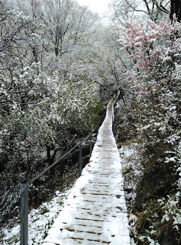 昨日中午，靈山上飄起小雪，至下午3點30分左右雪停。