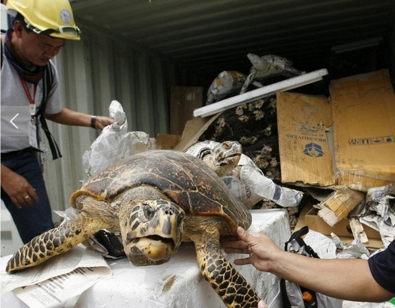 盤點各國殘忍動物交易