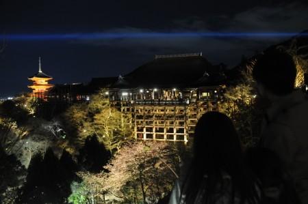 日本京都市的清水寺在春季夜間特別參觀正式開始之前進行試亮燈，剛剛開放的櫻花與“清水舞臺”一同浮現在春天的夜色之中。