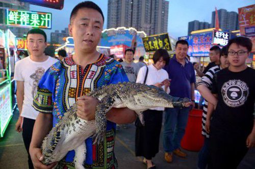 沈陽現鱷魚肉烤串 20元一串引市民圍觀