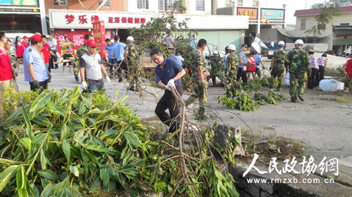 在搶險救災現場，海滄區政協機關黨員、干部與群眾協力扶綠、清障、打掃。2