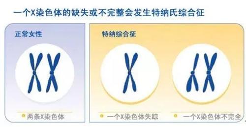 點擊進入下一頁