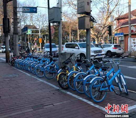 共享單車停放在人行道白線停車區域內。　王子濤 攝