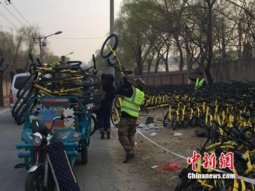 有故障的共享單車正源源不斷地送到維修點。<a target='_blank' href='http://www.chinanews.com/' >中新網(wǎng)</a> 吳濤 攝