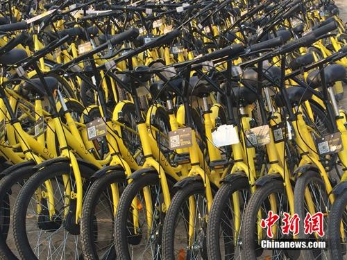 在共享單車維修點，很多共享單車二維碼被涂損。<a target='_blank' href='http://www.chinanews.com/' >中新網(wǎng)</a> 吳濤 攝