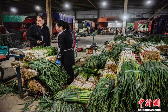 資料圖：凌晨4點(diǎn)的通州八里橋批發(fā)市場(chǎng)，喧鬧異常。 <a target='_blank' href='http://www.chinanews.com/' >中新網(wǎng)</a>記者 富宇 攝