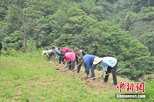 點擊進入下一頁