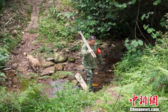 護(hù)林如愛家四川敘永退伍老兵守護(hù)山林15年如一日