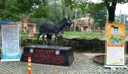 曾活驢喂虎的動物園涉9500萬經濟糾紛 開庭無果