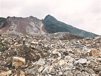 貴州納雍滑坡:有村民跑回村子報信 不幸被砸中