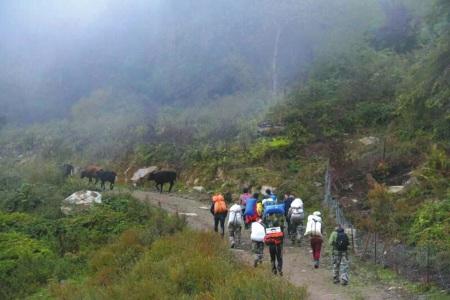 3驢友穿越臥龍無人區被困16人救援小組緊急出動