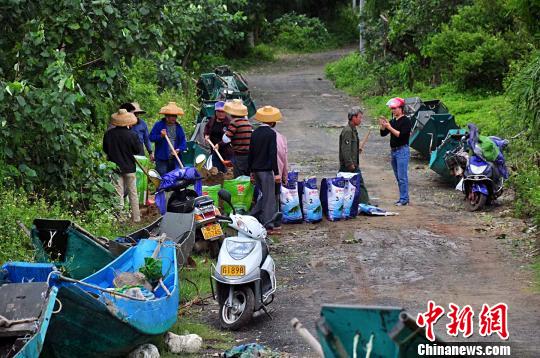 臺風(fēng)“卡努”致廣東湛江直接經(jīng)濟(jì)損失逾8億元