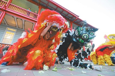 蘇里南首都帕拉馬里博，華裔民眾進行舞獅表演，歡迎中國傳統(tǒng)春節(jié)到來。 　　人民視覺