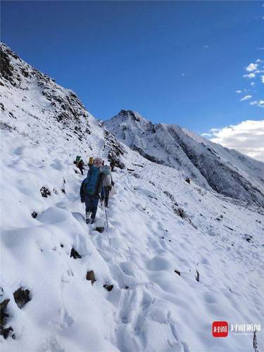 成都首次雪豹專項調查結束:成都范圍有 至少兩只