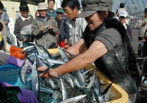 日媒:日本7月要提議秋刀魚限量捕撈 中國必反對