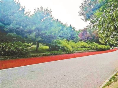 老人公園拍荷花6萬攝影器材被搶 北京警方介入調(diào)查