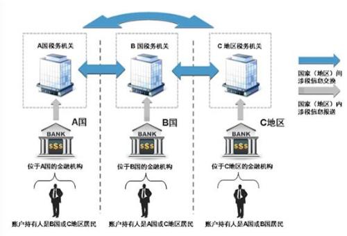 圖注：金融賬戶涉稅信息自動交換的具體過程示意圖。圖片來源：國家稅務總局官網