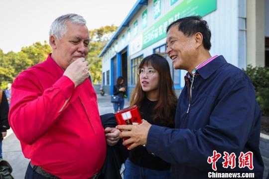 中外專家湖北宜都共研“宜紅茶與中俄萬里茶道”