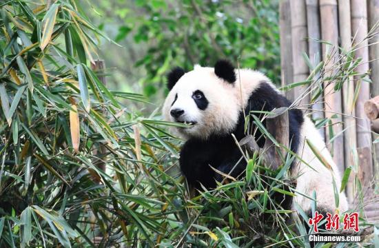 點擊進入下一頁