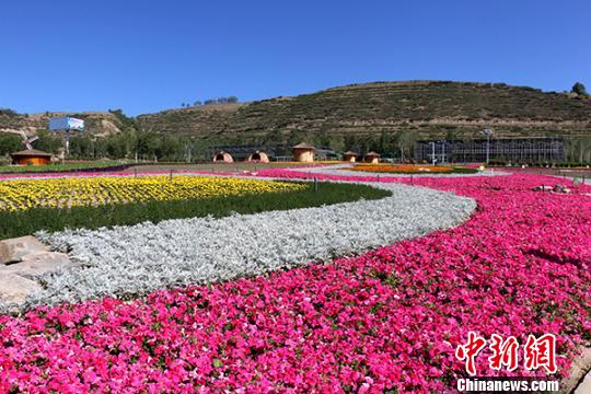 圖為西寧市大通縣花海。(資料圖) 鐘欣 攝