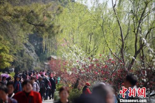 4月1日，大批游客在江蘇揚(yáng)州瘦西湖踏青游玩，親近自然。　孟德龍 攝