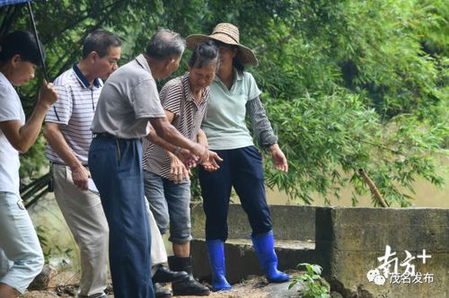 茂名81歲老人跳下4米深河救人:人命怎么樣都要救