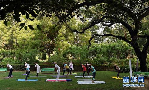 這是在印度新德里，人們在公園練習瑜伽（2019年6月21日攝）。 新華社記者 張迺杰 攝