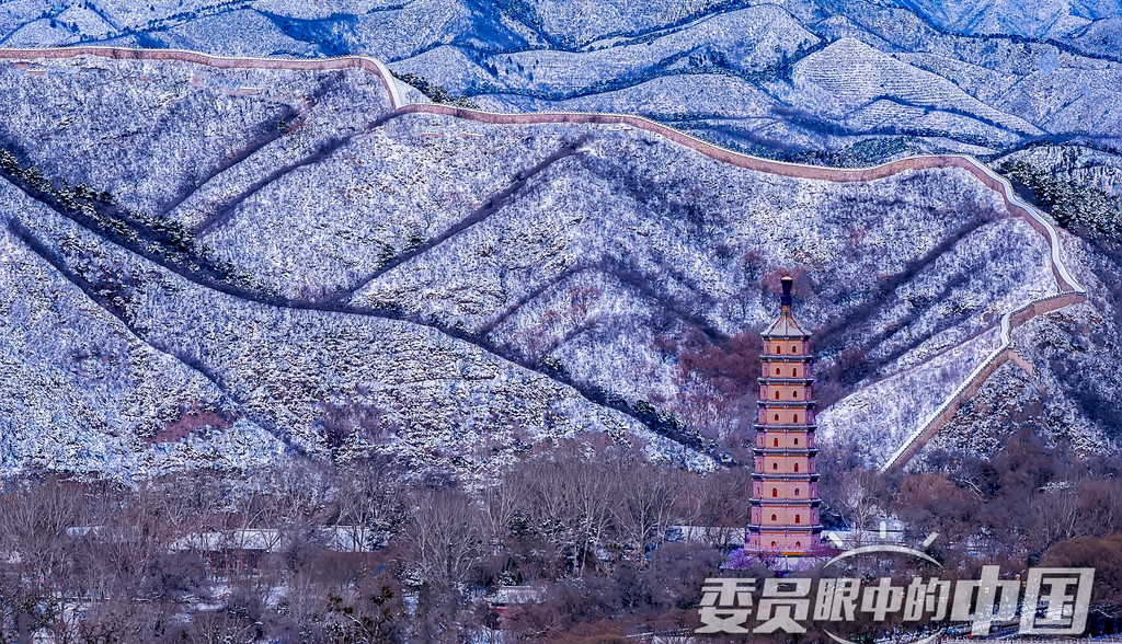 山舞銀蛇