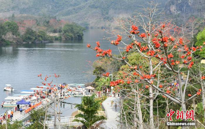 　圖為游客在昌江黎族自治縣七叉鎮(zhèn)尼下碼頭乘船觀賞昌化江兩岸的木棉花。 尹海明 攝