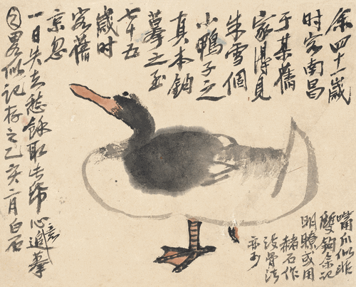 追摹八大山人鴨圖-25×31cm-1935年-齊白石-北京畫院藏